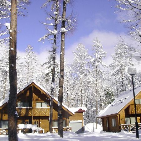 Log Cottage Epoch Hakuba Dış mekan fotoğraf