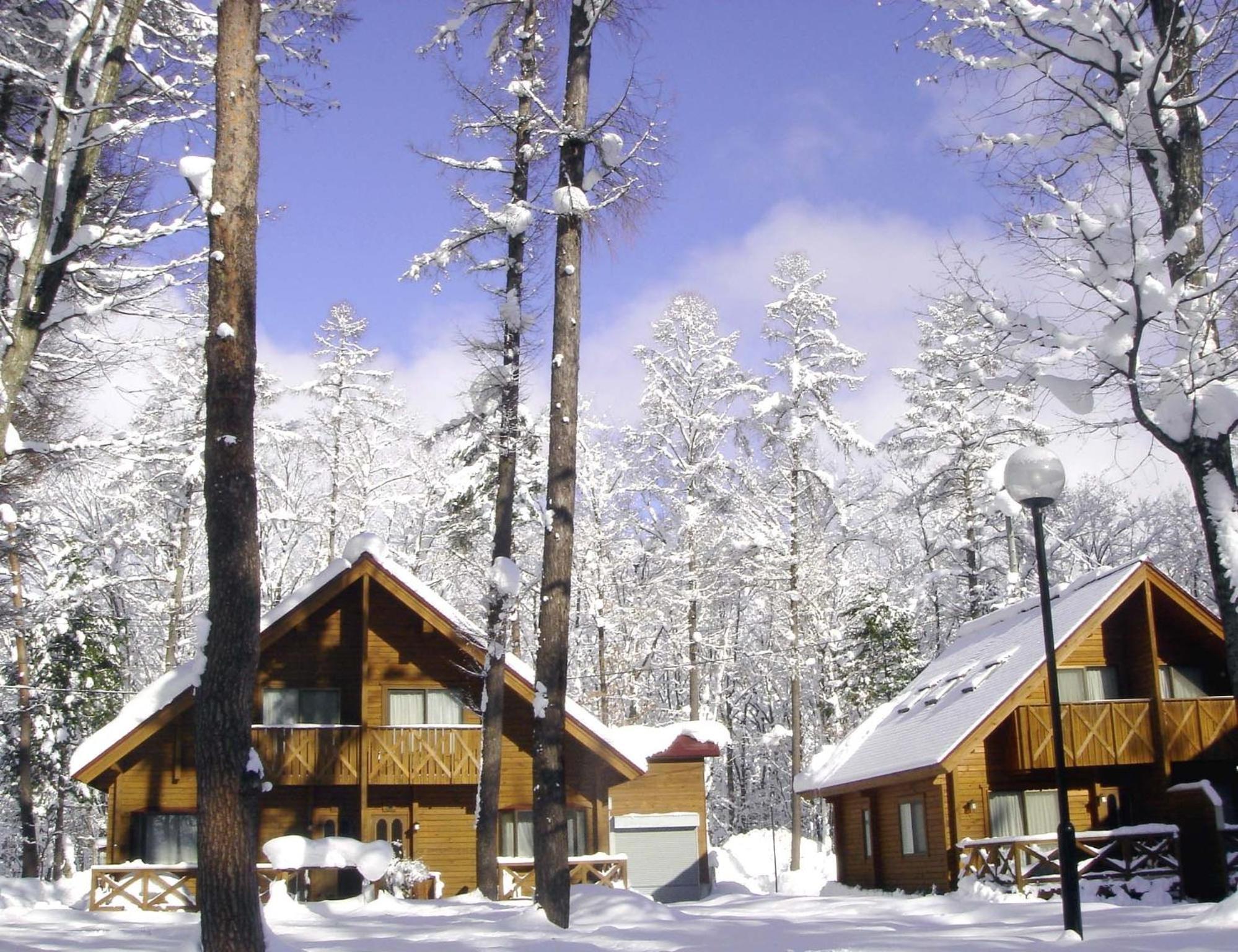 Log Cottage Epoch Hakuba Dış mekan fotoğraf